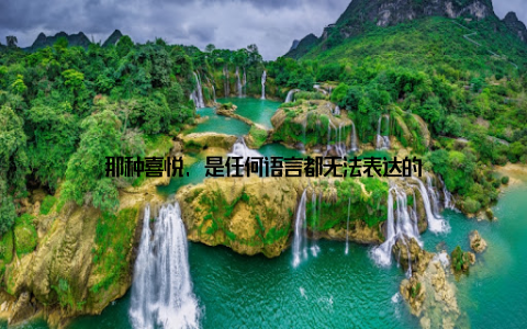 那种喜悦, 是任何语言都无法表达的