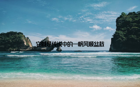 它就是传说中的一帆风顺盆栽