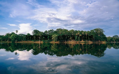 我看着这盆花, 心里充满了成就感