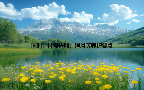 同时, 注意光照、通风等养护要点