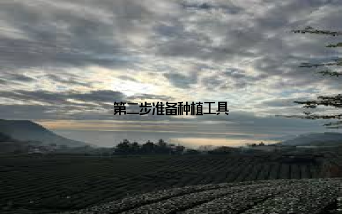第二步准备种植工具