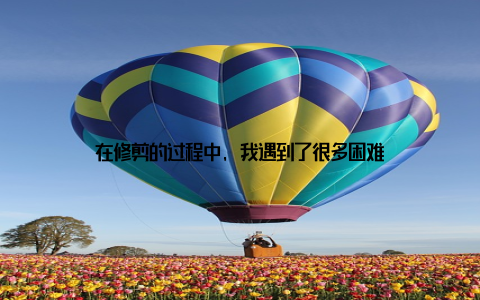 在修剪的过程中, 我遇到了很多困难