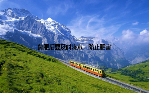 施肥后要及时浇水, 防止肥害