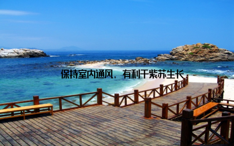 – 保持室内通风, 有利于紫苏生长