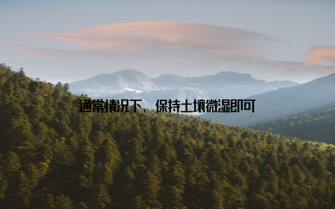 通常情况下, 保持土壤微湿即可