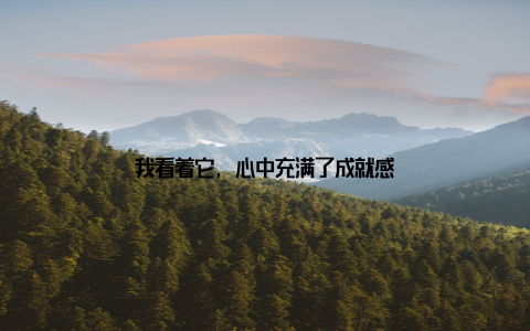 我看着它, 心中充满了成就感