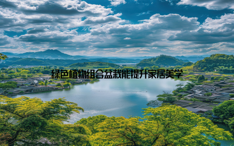 绿色植物组合盆栽能提升家居美学