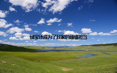 绿宝还成为了我家的颜值担当