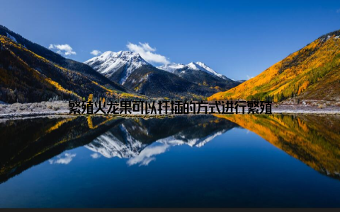 繁殖火龙果可以扦插的方式进行繁殖