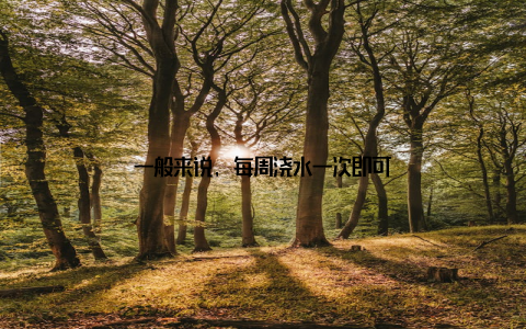 一般来说, 每周浇水一次即可