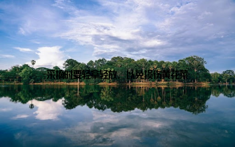 采摘时要轻拿轻放, 以免损伤黄花菜