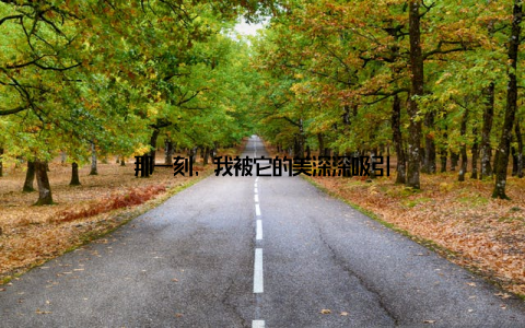 那一刻, 我被它的美深深吸引