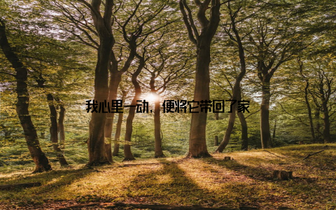 我心里一动, 便将它带回了家