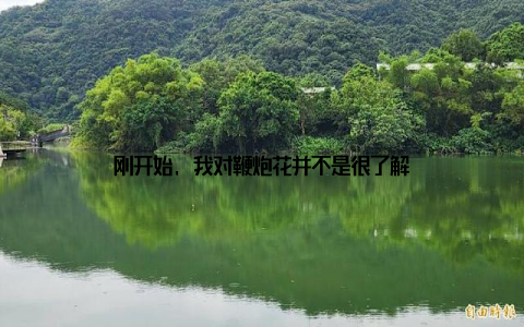 刚开始, 我对鞭炮花并不是很了解