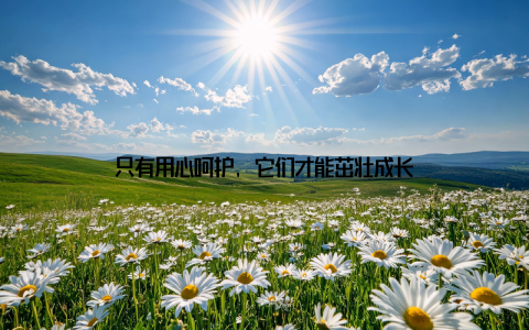 只有用心呵护, 它们才能茁壮成长