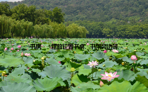 书房 – 摆放位置书桌、书架旁边等