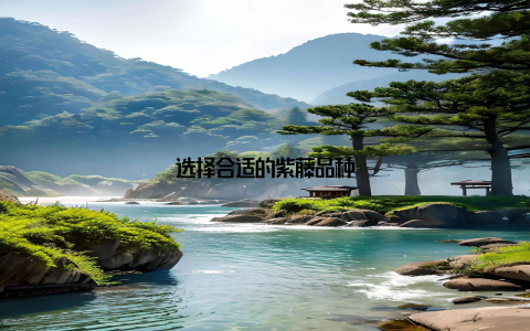 选择合适的紫藤品种