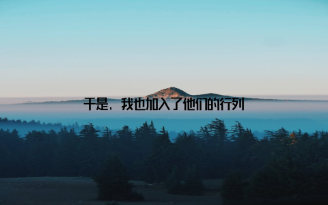 于是, 我也加入了他们的行列