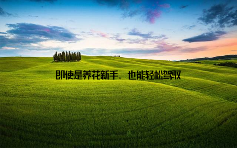 即使是养花新手, 也能轻松驾驭