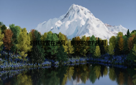 将其放置在通风、明亮的地方即可