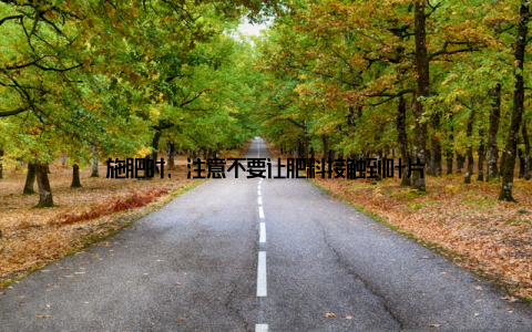 施肥时, 注意不要让肥料接触到叶片