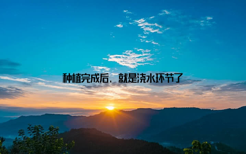 种植完成后, 就是浇水环节了