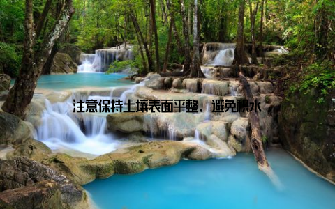 注意保持土壤表面平整, 避免积水