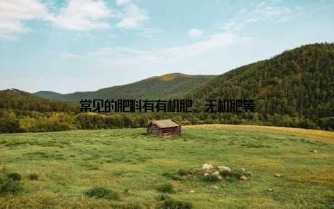 常见的肥料有有机肥、无机肥等