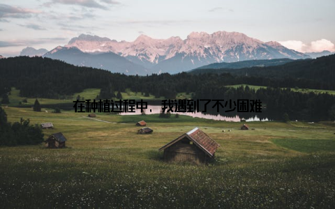 在种植过程中, 我遇到了不少困难