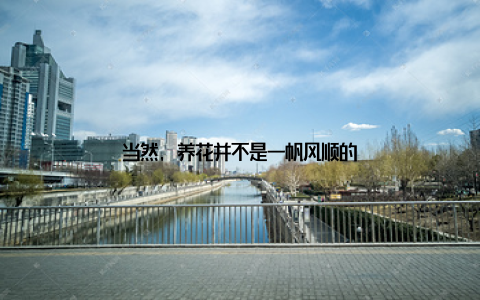 当然, 养花并不是一帆风顺的