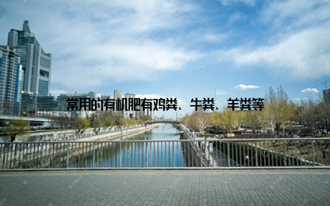 常用的有机肥有鸡粪、牛粪、羊粪等