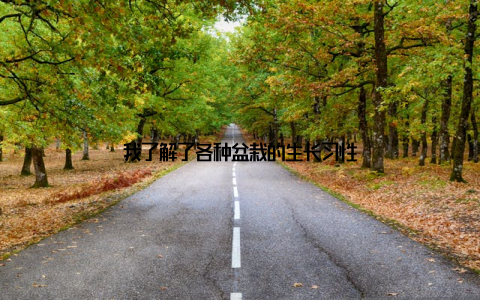 我了解了各种盆栽的生长习性