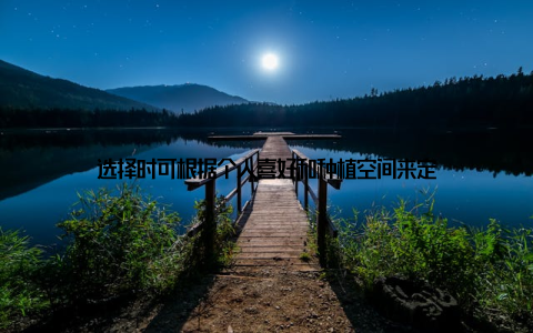 选择时可根据个人喜好和种植空间来定